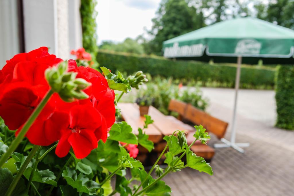 Hotel Vogtland Bad Elster Eksteriør bilde